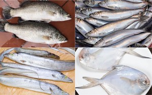 Chuyên gia khuyên nếu đi chợ mà thấy 9 loại cá ngọt thịt, ít xương, nhiều dinh dưỡng này thì nên mua ngay