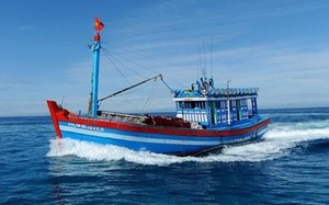 Chủ tàu cá ở Cà Mau bị phạt hơn 900 triệu đồng