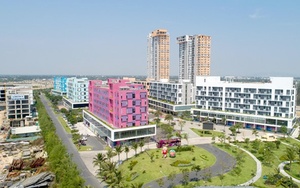 Chủ dự án Cocobay 