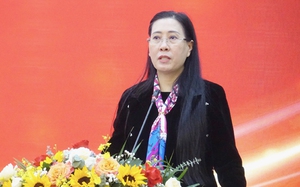 Bí thư, Chủ tịch HĐND tỉnh Quảng Ngãi: Không dừng dự án công viên 893 tỷ
