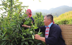 T.Ư Hội Nông dân Việt Nam ban hành công văn thực hiện công tác dân tộc, tôn giáo quốc phòng, an ninh năm 2024