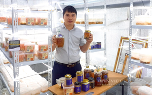 Anh nông dân Phú Thọ gắn 'sao' cho sản phẩm đông trùng hạ thảo chỉ sau một năm khởi nghiệp