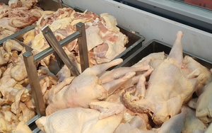 Kỳ lạ: Đất nước có gần 30 triệu con lợn, 559 triệu con gà vịt, vẫn mạnh tay nhập gà thải, thịt đông lạnh