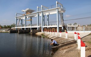 Các dòng sông ở Long An đang có độ mặn ở mức cao hơn trung bình nhiều năm