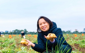 Chị đẹp Thái Bình biến ruộng hoang thành nông trại rau hữu cơ, vừa bán kiếm tiền vừa cho mọi người vào trải nghiệm