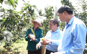 Thực hiện có hiệu quả các phong trào nông dân ở huyện vùng cao Yên Châu