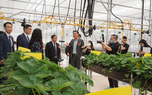Hàn Quốc cam kết hỗ trợ Việt Nam phát triển 6 lĩnh vực trong ngành nông nghiệp