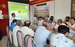 Long An: Tập huấn kỹ thuật sản xuất hạt giống lúa cho nông dân