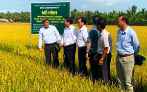 Đoàn công tác Bộ Nông nghiệp và Phát triển Nông thôn làm việc tại HTX Phát Tài – mô hình sử dụng NPK Phú Mỹ