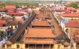 Một chùa cổ gần 1.000 năm tuổi ở làng khoa bảng nổi tiếng Nam Định, kiến trúc độc đáo, cây cổ thụ sừng sững