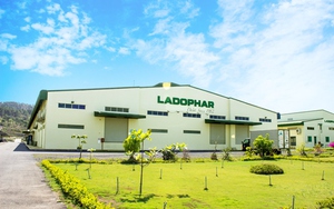 Ladophar (LDP) muốn chào bán 6,5 triệu cổ phiếu riêng lẻ để thanh toán nợ vay