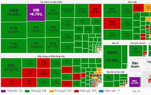 Cổ phiếu VIB khoe sắc tím, nhóm ngân hàng nổi sóng kéo VN-Index tăng gần 18 điểm