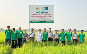 Công ty Việt Nam chuyên về gạo nhận thêm nguồn vốn ngàn tỷ từ Hà Lan