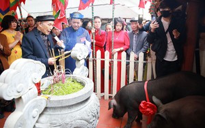 Một thôn của tỉnh Bắc Giang, dân thi nhau mua lợn đen về chăm, đến ngày giờ cho tắm rượu gừng mang đi cúng tế