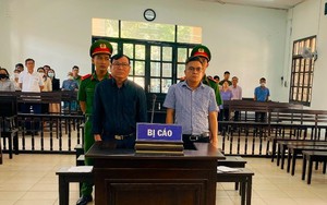 Hai cựu cán bộ CDC Ninh Thuận lĩnh án