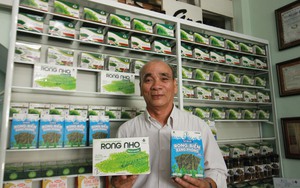 "Một loại rau" giàu khoáng chất ở Khánh Hòa, trước bán có lời, nay dân cực nhọc vớt lên bán lỗ vốn- Ảnh 7.