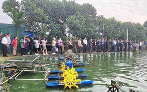 Nuôi cá to bự, nuôi nhím lạ mắt, 100 người vừa đến nhà ông nông dân Ninh Bình để xem