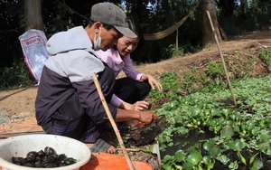 Ngân hàng Chính sách xã hội phát động Cuộc thi viết “Tín dụng chính sách xã hội - Ý Đảng, lòng Dân” - Ảnh 4.