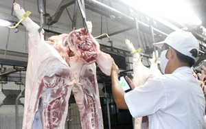 Đồng Nai: Giết mổ động vật có phép không cạnh tranh được với giết mổ lậu