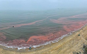 Nước biển chuyển thành màu đỏ ở Hà Tĩnh, ngư dân không dám ra khơi đánh cá