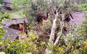 Lào Cai: Mưa lớn, gió lốc gây thiệt hại tài sản của nhân dân