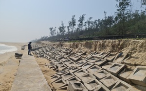 Quảng Nam đề xuất Trung ương hỗ trợ 800 tỷ đồng xây dựng bờ kè Tam Thanh