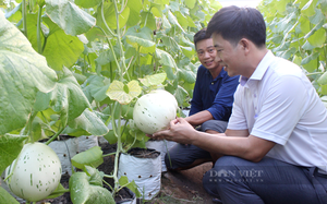 Nâng cao vai trò Hội Nông dân Việt Nam tham gia phát triển kinh tế tập thể trong nông nghiệp