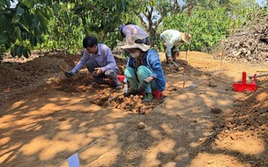 Đào khảo cổ ở một thôn của tỉnh Đắk Nông phát hiện dấu tích của người tiền sử, hiện vật cổ bằng đá thạch anh