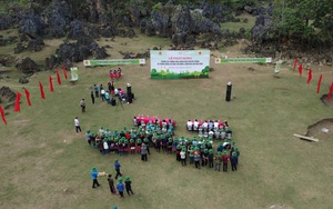 Hội Nông dân Sơn La: Phát động chiến dịch truyền thông về trồng rừng và phục hồi rừng tại Mộc Châu