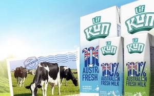 Sữa Quốc tế (IDP) phát hành gần 1,18 triệu cổ phiếu ESOP giá băng 1/25 thị trường