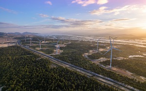 Tỷ phú Singapore muốn đầu tư dự án điện gió 5.500 tỷ đồng tại Bình Định