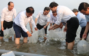 Bộ trưởng Lê Minh Hoan, Bí thư Tỉnh ủy Quảng Ninh Nguyễn Xuân Ký cùng 100 đại biểu thả 5 triệu con giống về biển