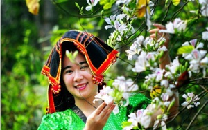Khám phá vẻ đẹp của hoa Ban qua hình ảnh người con gái Thái