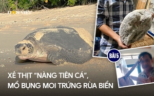 Cài "bẫy ảnh" và camera giám sát tại các bãi đẻ của- Ảnh 12.