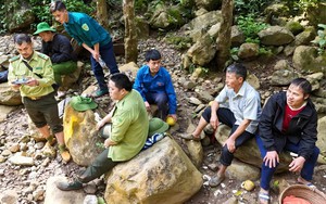 Điện Biên: Căng mình bảo vệ rừng khỏi 