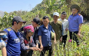 Công an Lai Châu: Bắt đối tượng trồng hơn 3.000 cây thuốc phiện trong rừng sâu