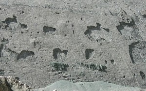 Cận cảnh bức tường độc nhất vô nhị với 5.000 dấu chân khủng long