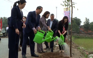 Hội Nông dân tỉnh Bắc Ninh phấn đấu trồng mới trên 74.000 cây xanh