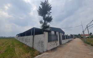 Nhà xưởng không phép giữa cánh đồng ở Thái Bình quá hạn nhiều tháng vẫn chưa tháo dỡ xong