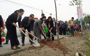 Hội Nông dân tỉnh Bắc Ninh phấn đấu trồng mới trên 74.000 cây xanh 