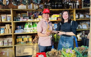 Quảng Nam: Đưa vào hoạt động sàn thương mại điện tử sâm, dược liệu và hàng nông sản