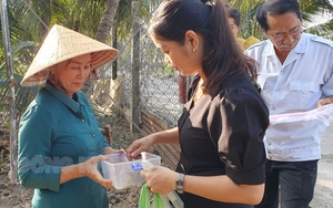 Ở Bến Tre lực lượng chức năng, nông dân vẫn đang tìm cách diệt trừ con vật quái ác này