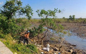 Ngành nông nghiệp Quảng Nam tìm cách 