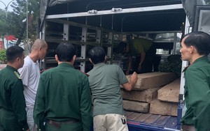 Bộ đội biên phòng ở Thừa Thiên Huế bắt giữ 2 ô tô tải vận chuyển gỗ lậu 