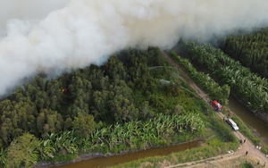 Đang cháy hàng chục hécta rừng tại Cà Mau