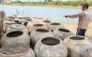 Mùa khô bất ổn ở Đồng bằng sông Cửu Long: Vì sao dự án dẫn nước 1.000 tỷ đồng chưa thể triển khai? (Bài 5)