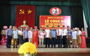 Ninh Bình: Thành lập Chi bộ Hội nghề nghiệp đá mỹ nghệ Ninh Vân