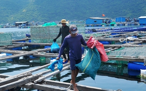 Nghệ An: Nông dân phường Nghi Thủy cùng nhau thu gom rác thải, làm sạch môi trường biển - Ảnh 6.