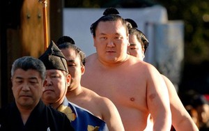 Vì sao các Sumo Nhật Bản được gọi là 