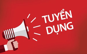 Tor tuyển dụng chuyên gia hỗ trợ kỹ thuật Chương trình làm cha trách nhiệm - Ảnh 2.